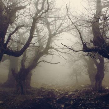 Sarò destinato a bruciare
