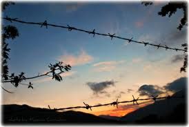 Notte di guardia