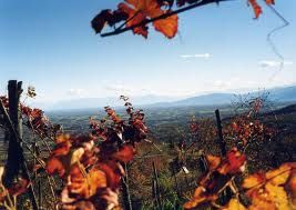 Mite autunno
