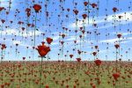 Vola, come aquilone, ogni rosa