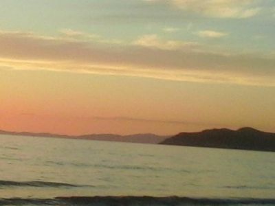 Forse
