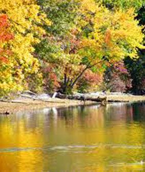 Riflessi dautunno