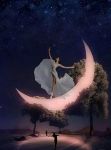 Ecco il sogno - ecco lavventura
