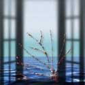 Adesso