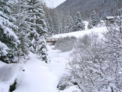 Neve