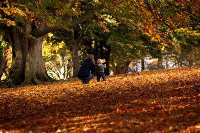  ancora Autunno