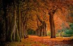 Ottobre