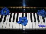 Musica