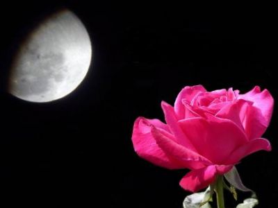 Baci di passione