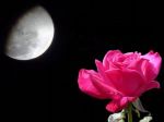 Baci di passione