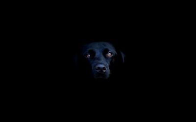  nera la notte