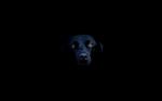  nera la notte