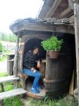 Il bosco incantato