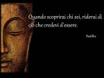 Non saprei, saprei