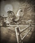 Il pianto del gallo