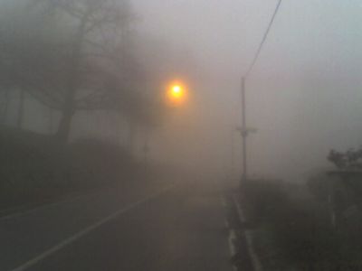 Stupiti nella nebbia