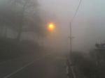 Stupiti nella nebbia