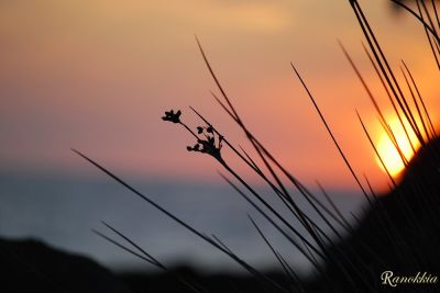 Follie nel silenzio