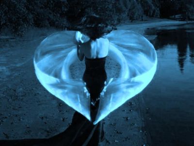 Gli uccelli danzano nel vento