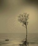Verso il fiume