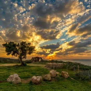 Memoria del sole