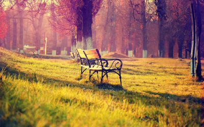 Le memorie trascorse
