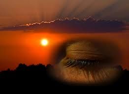 Notte