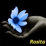 Un fiore che muore