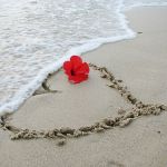 Amore