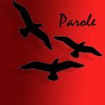 Dove vive il cuore