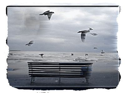 Silenzi lontani