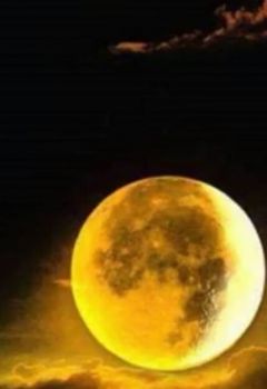 Di pensiero  il verso del poeta