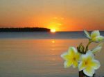 Vestita di vita... l'alba