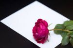 Di poesia è la mia vita