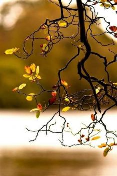 Autunno