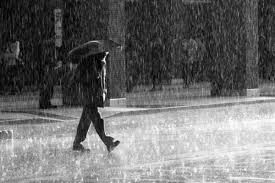 ’O pata pata è ll’acqua
