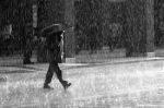 ’O pata pata è ll’acqua