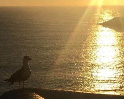 Un raggio di sole m’aspetta
