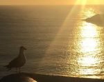 Un raggio di sole m’aspetta