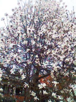 Aprile