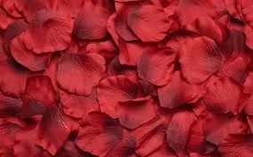 Petali di rose