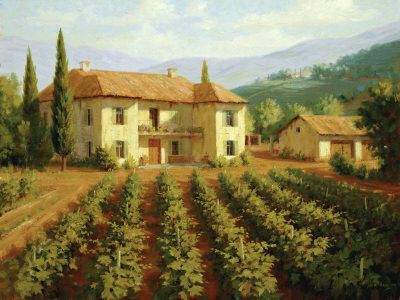 L’odore della vigna