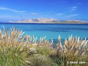 Il canto della mia terra