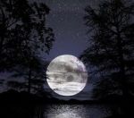 La Notte