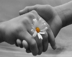 Sillabe nella notte