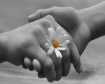 Sillabe nella notte