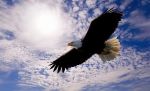 Libero