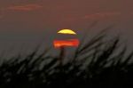 Sogno all'alba della vita