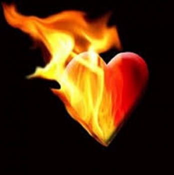Senza cuore non c' vita