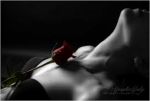 Carezze al cuore
